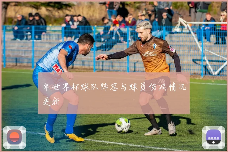 年世界杯球队阵容与球员伤病情况更新