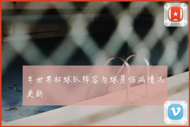 年世界杯球队阵容与球员伤病情况更新