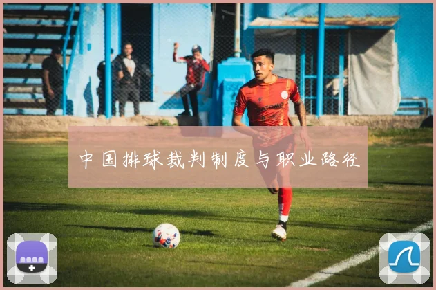 中国排球裁判制度与职业路径