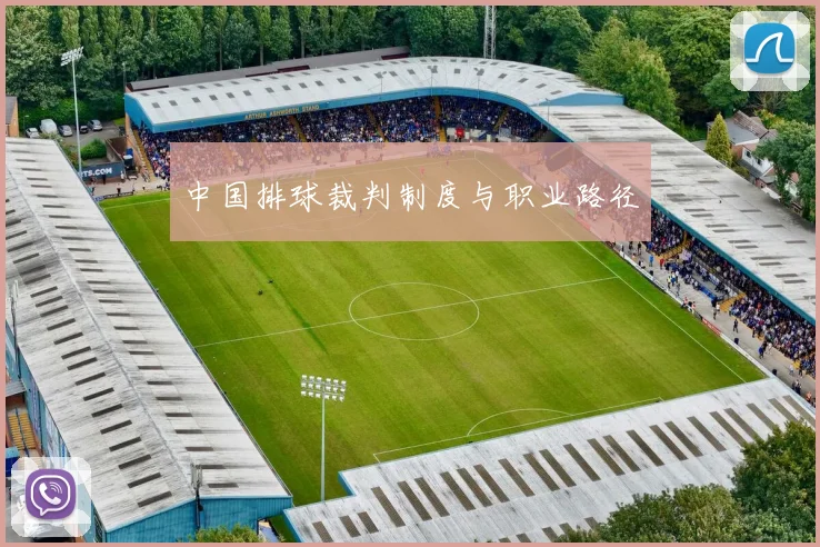 中国排球裁判制度与职业路径